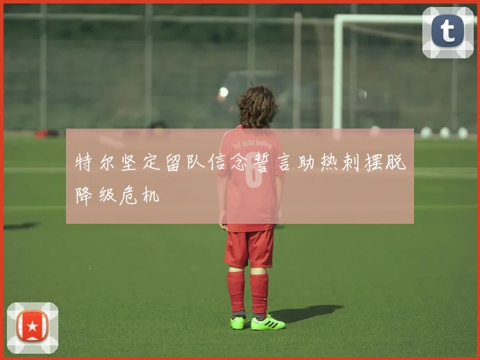 特尔坚定留队信念誓言助热刺摆脱降级危机