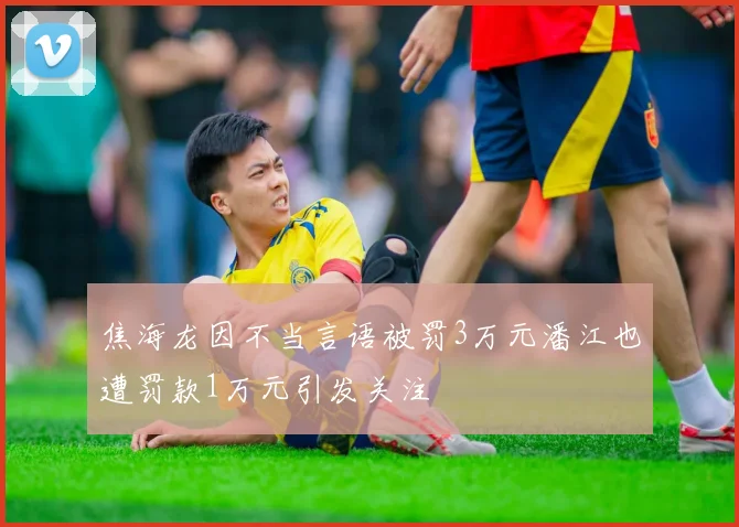 焦海龙因不当言语被罚3万元潘江也遭罚款1万元引发关注