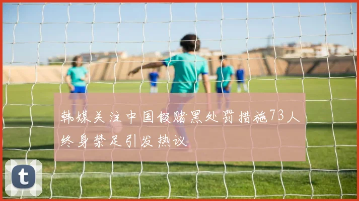 韩媒关注中国假赌黑处罚措施73人终身禁足引发热议