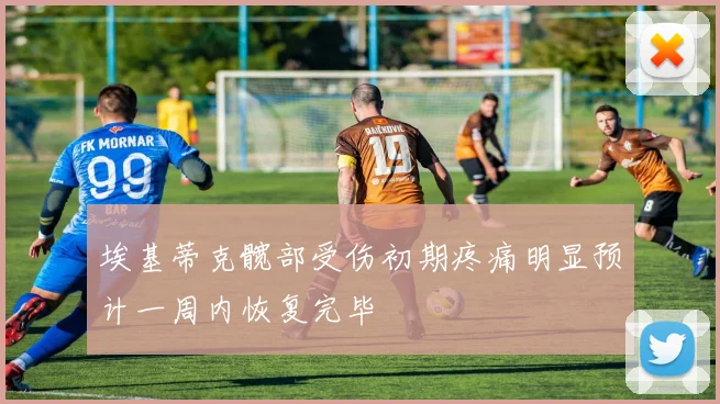 埃基蒂克髋部受伤初期疼痛明显预计一周内恢复完毕