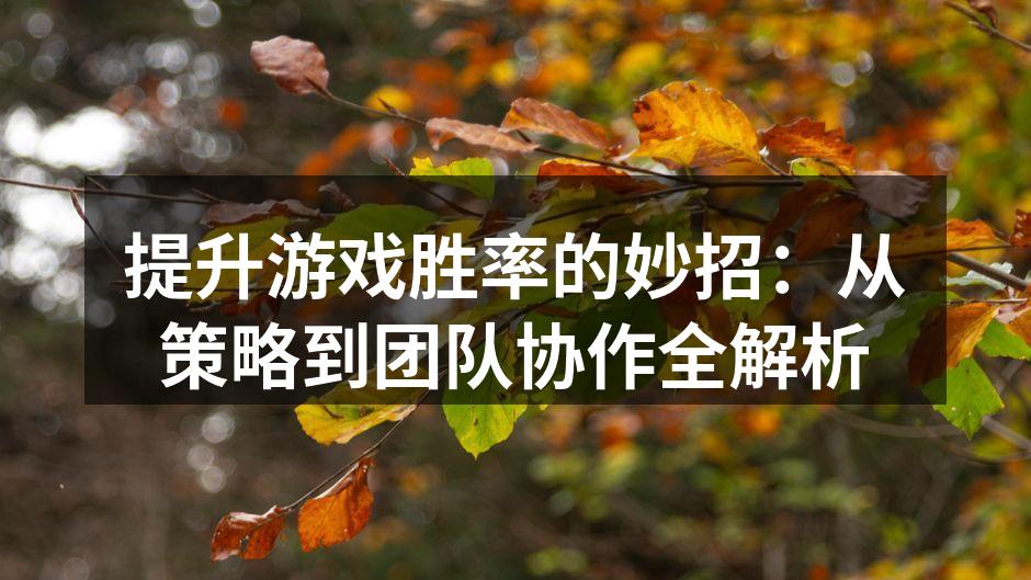 团队协作是胜利的关键